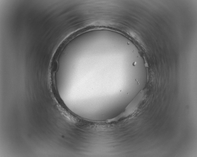 X0000068830976200605191854