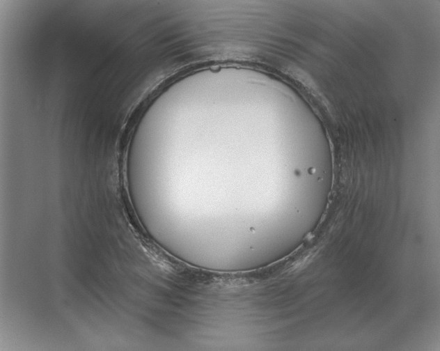 X0000068830978200605191854