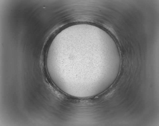 X0000068830979200605191854