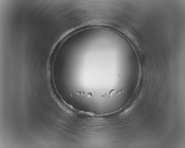 X0000068830981200605191854