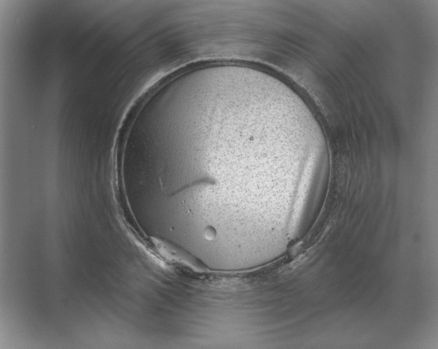 X0000068830982200605191854