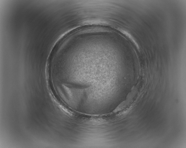 X0000068830983200605191854