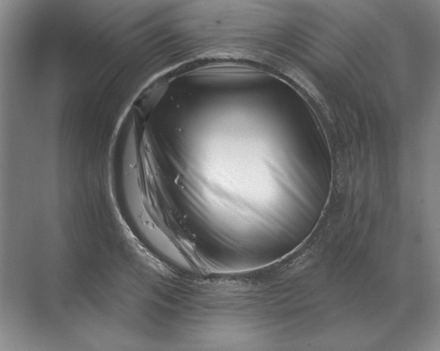 X0000068830984200605191854