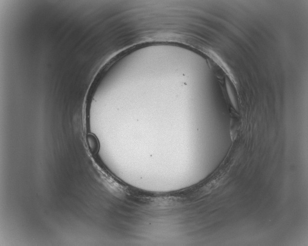 X0000068830988200605191854