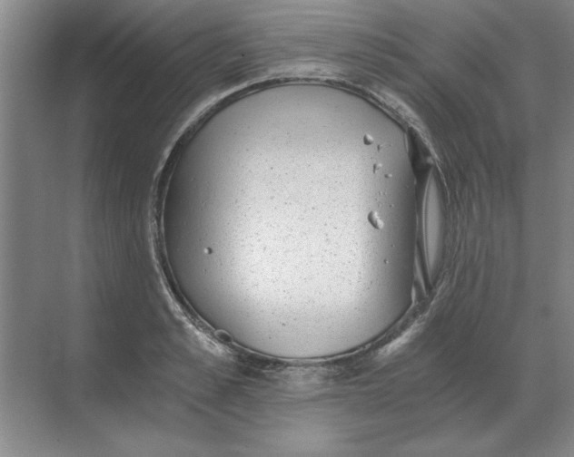 X0000068830989200605191854