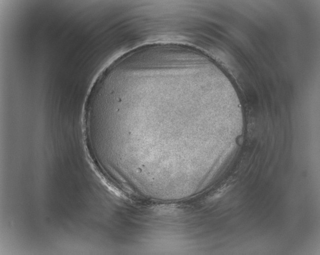 X0000068830990200605191854