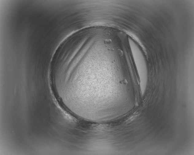 X0000068830991200605191854