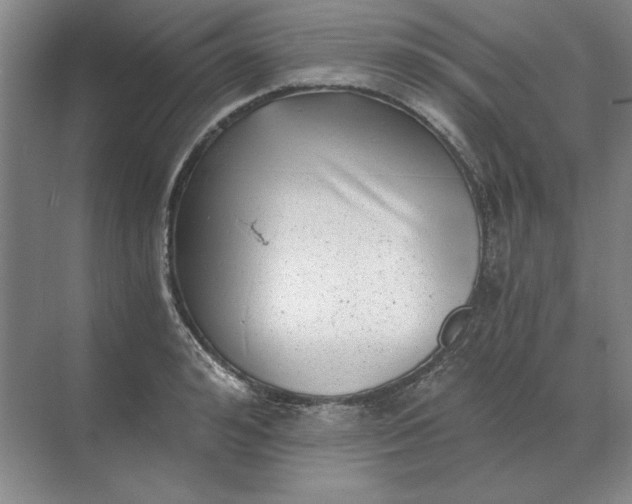 X0000068830992200605191854