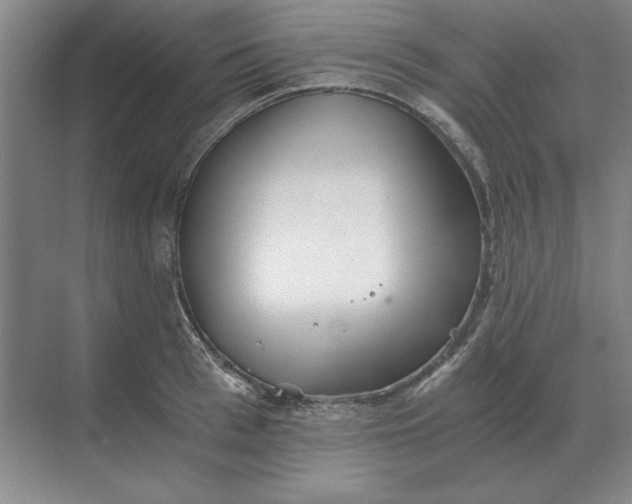 X0000068830993200605191854