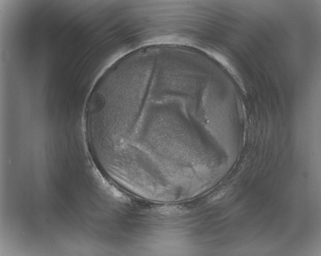 X0000068830998200605191854