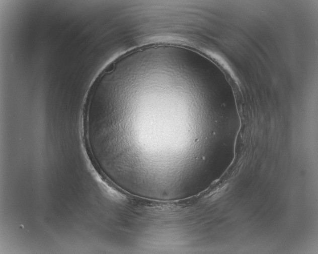 X0000068830999200605191854