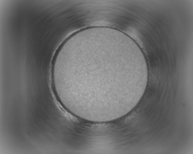 X0000068831000200605191854