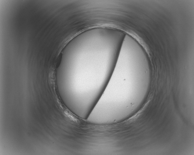 X0000068831001200605191854