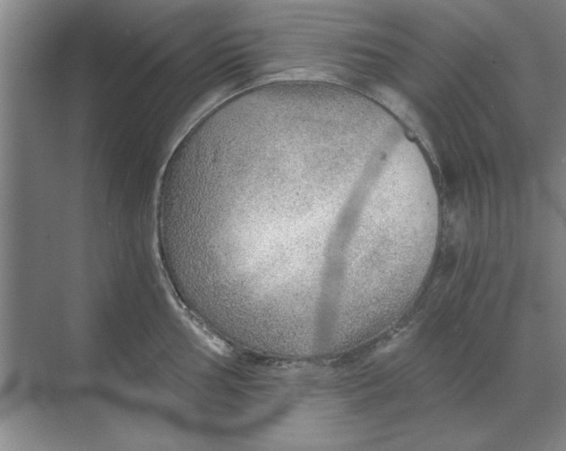 X0000068831002200605191854