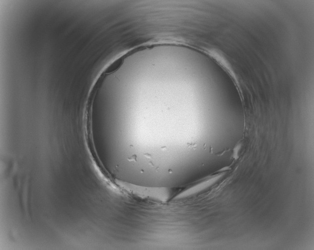 X0000068831003200605191854