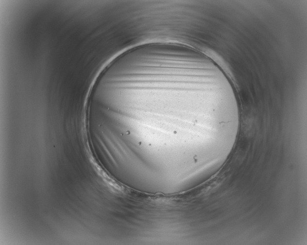 X0000068831004200605191854