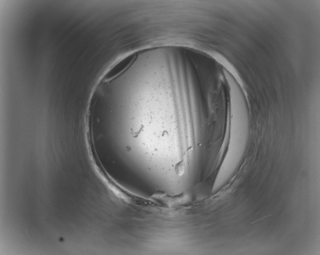 X0000068831005200605191854