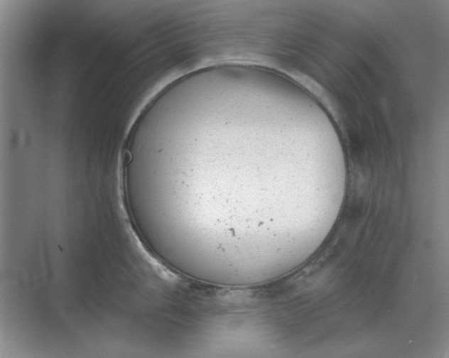 X0000068831006200605191854