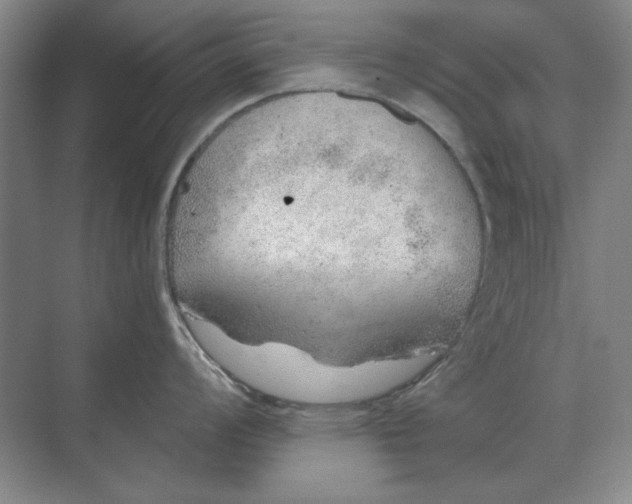 X0000068831008200605191854