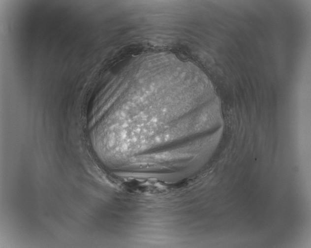 X0000068831009200605191853