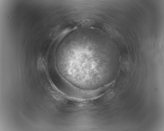 X0000068831010200605191853