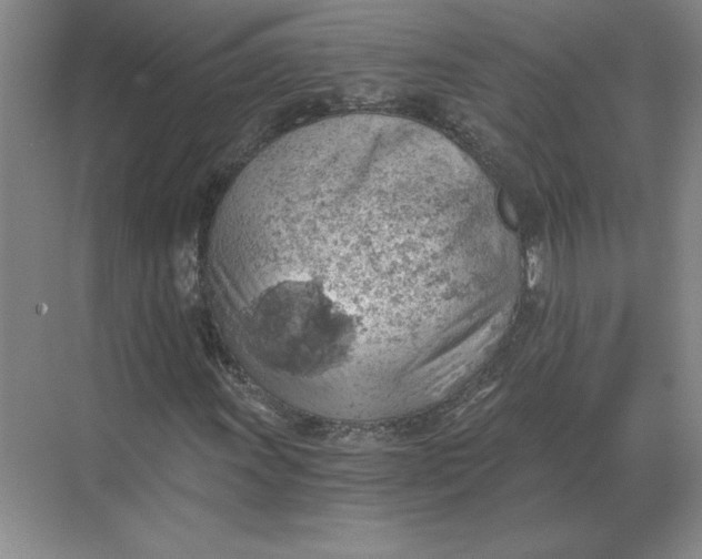 X0000068831011200605191853