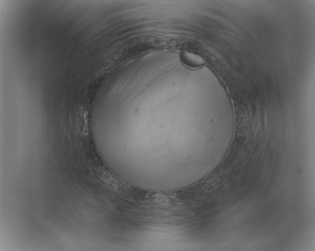 X0000068831013200605191853