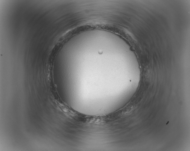 X0000068831016200605191853