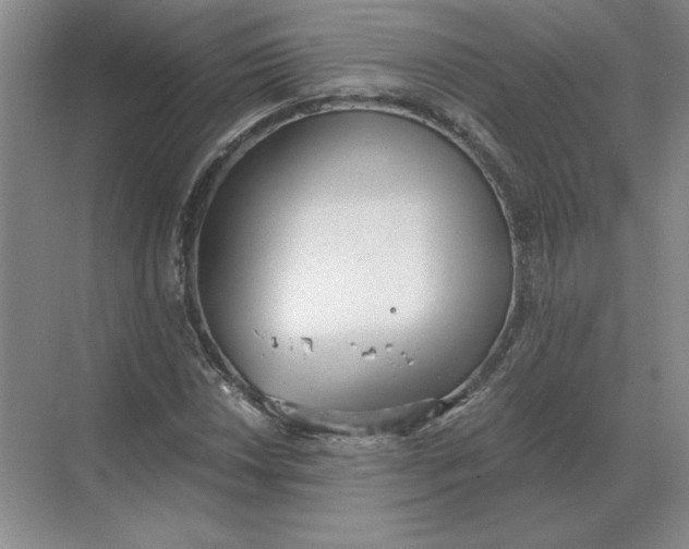 X0000068831018200605191853