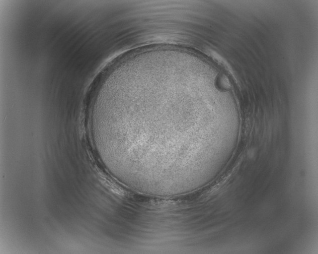 X0000068831019200605191853