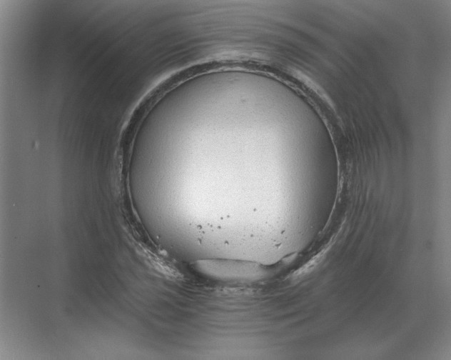 X0000068831021200605191853