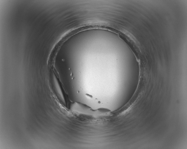 X0000068831022200605191853