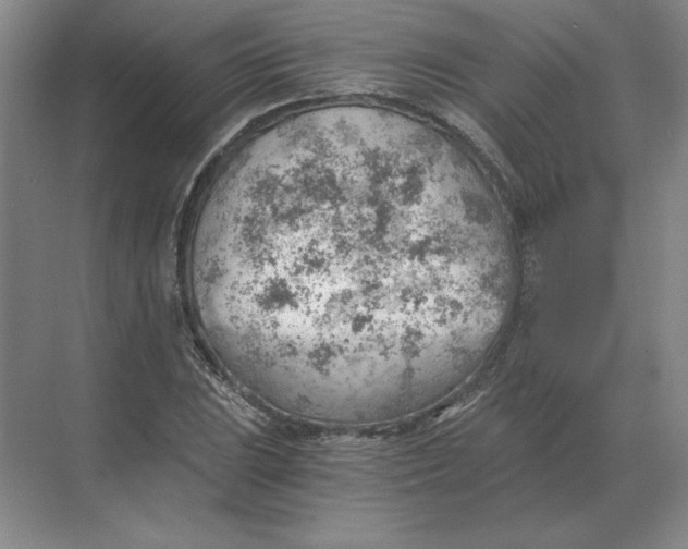 X0000068831023200605191853