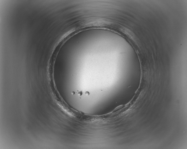 X0000068831026200605191853