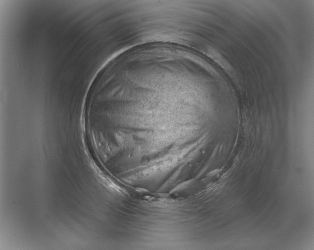 X0000068831028200605191853