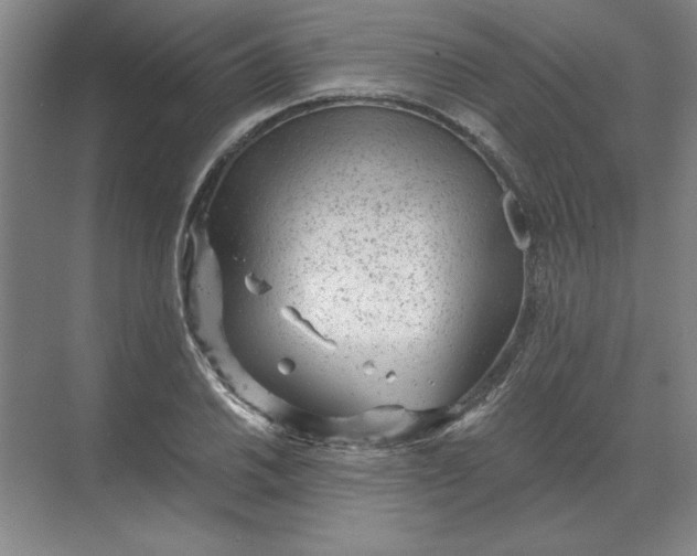 X0000068831030200605191853