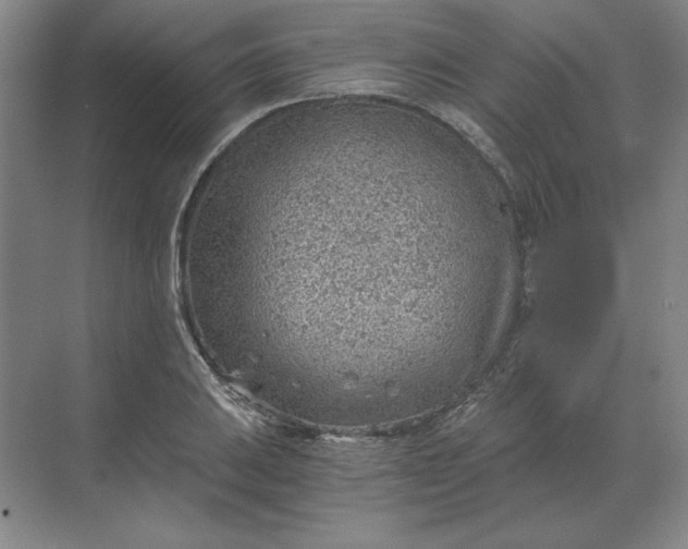 X0000068831031200605191853