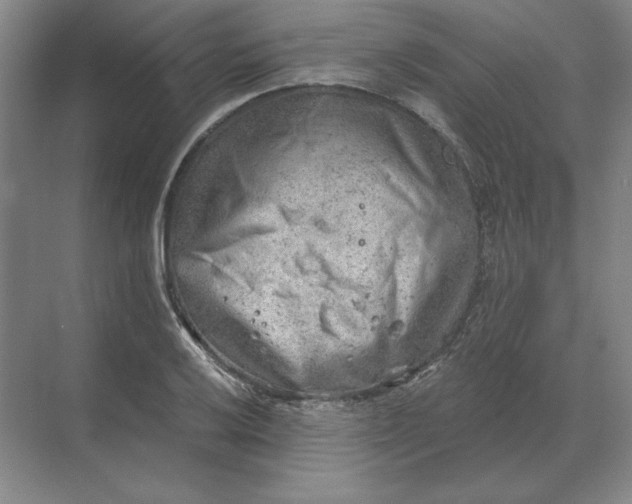 X0000068831032200605191853