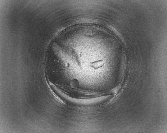 X0000068831033200605191853