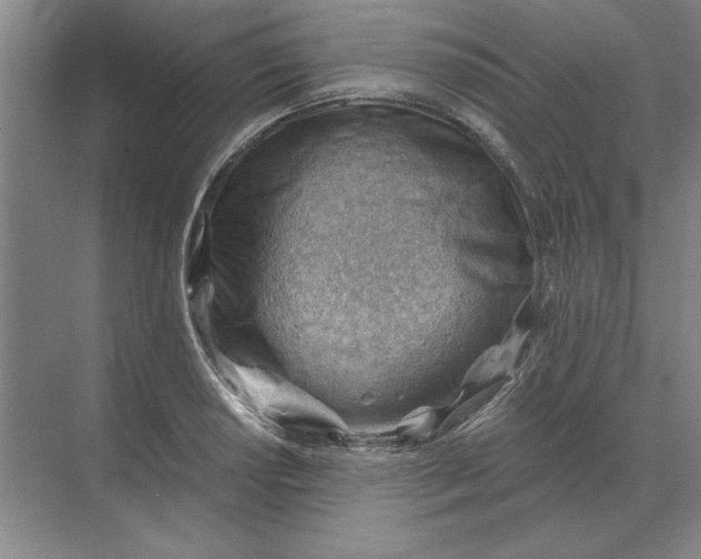 X0000068831034200605191854