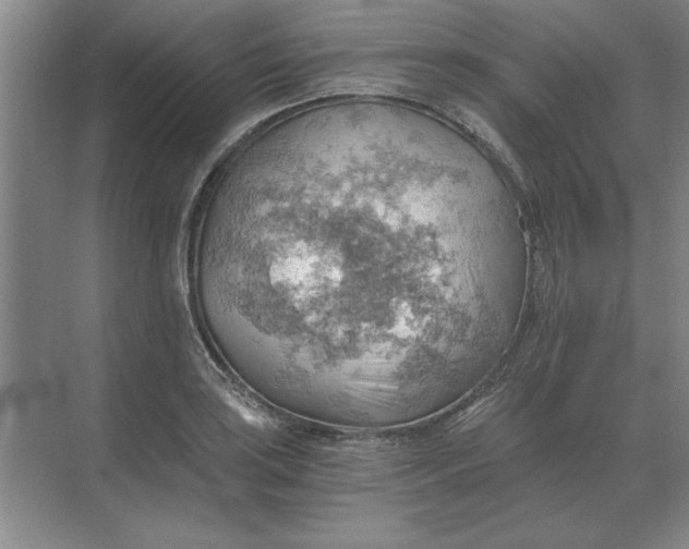 X0000068831035200605191854