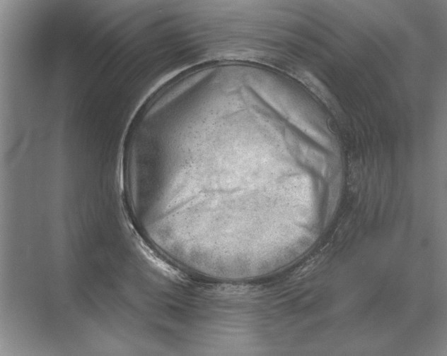 X0000068831036200605191854