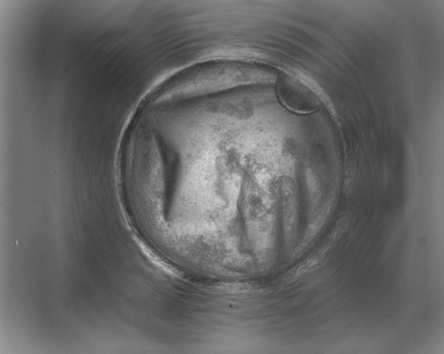 X0000068831037200605191854