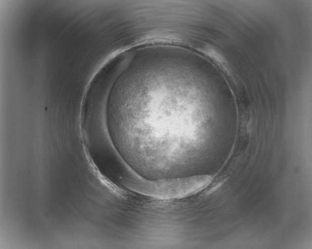 X0000068831038200605191854