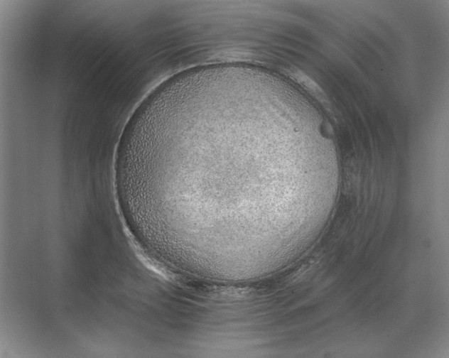 X0000068831039200605191854