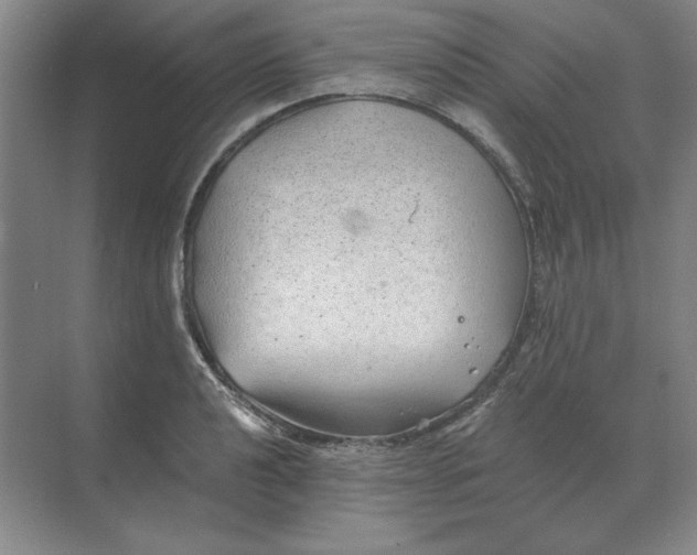 X0000068831040200605191854