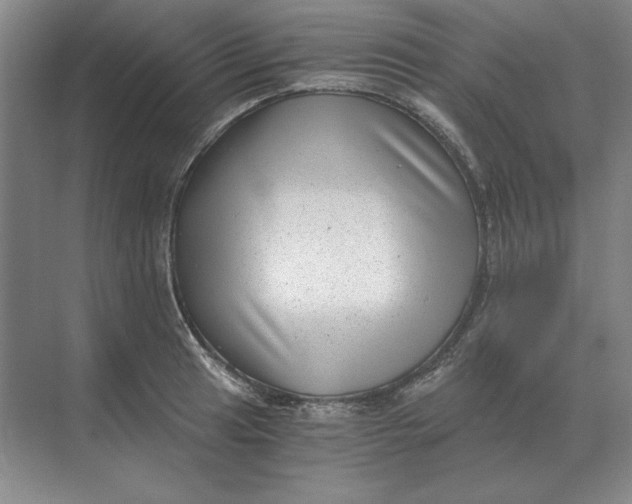 X0000068831041200605191854