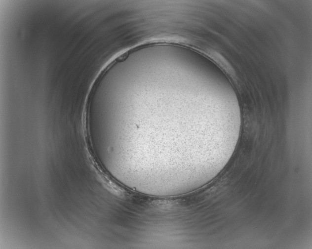 X0000068831044200605191854