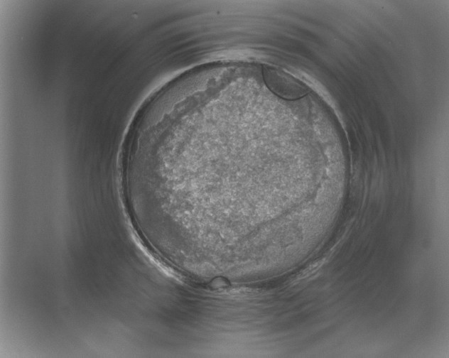 X0000068831045200605191854