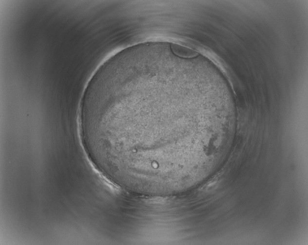 X0000068831048200605191854